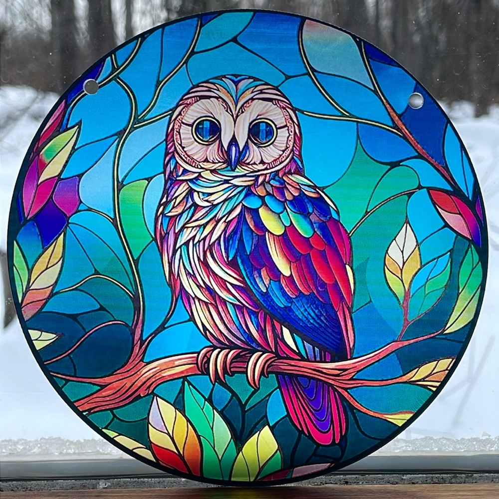Suncatcher Acrylic Colourful Blue Owl Bird 6” Round Decoration Home Cottage Deco